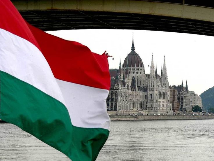Hungarian flag and university building representing study opportunities in Hungary.
